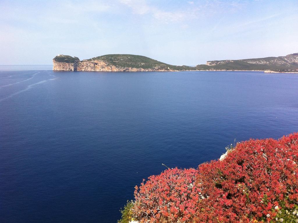 Solelunamare Guest House Alghero Dış mekan fotoğraf